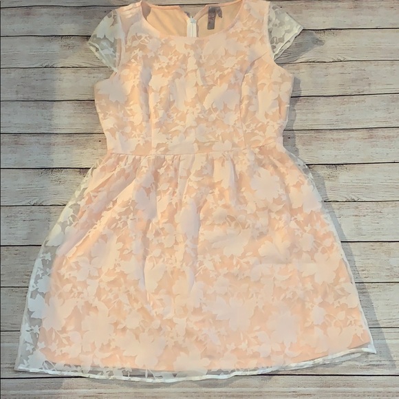 Dresses & Skirts - Peach Lace Dress with Lining Silhouette Size Large